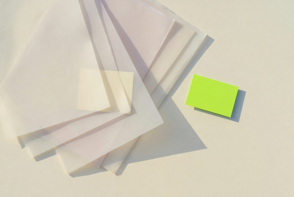 Transparent PNG vs JPG: Why Your Image Still Has a White Background